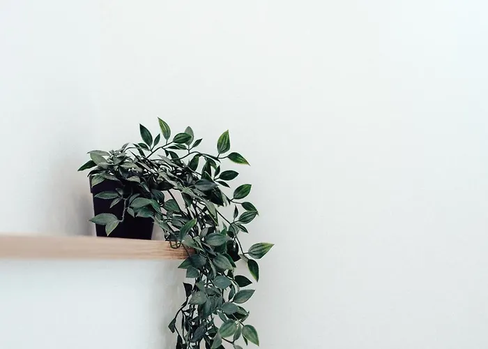 Maison Familiale Avec Jardin Proche De La Rochelle